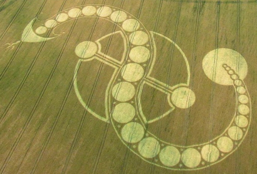 Cosmic Serpent Crop Circle